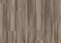 WP322 Canitia
