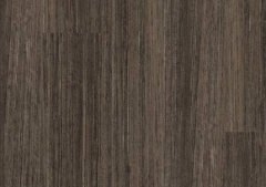 WP417 Sylva