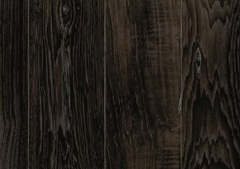 Pecan D 799