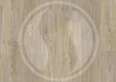 631 M Barn Pine